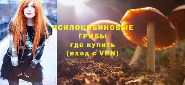 хмурый Надым