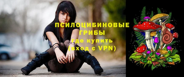 хмурый Надым