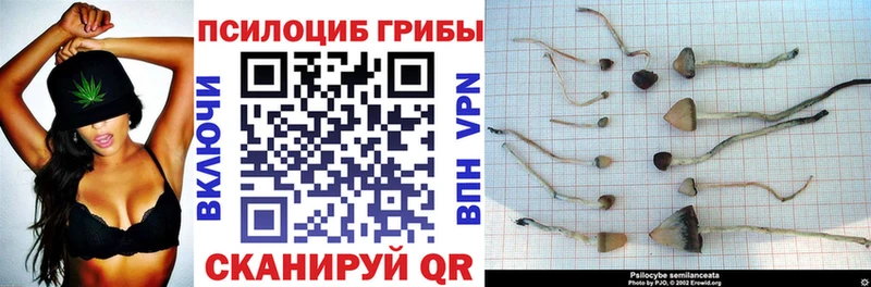 Галлюциногенные грибы прущие грибы  купить  сайты  Нижнекамск 