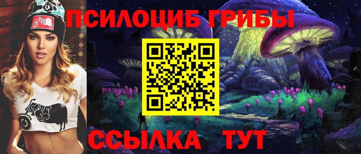 Нижнекамск  Галлюциногенные грибы мухоморы  Вход с VPN  Галлюциногенные грибы мухоморы 