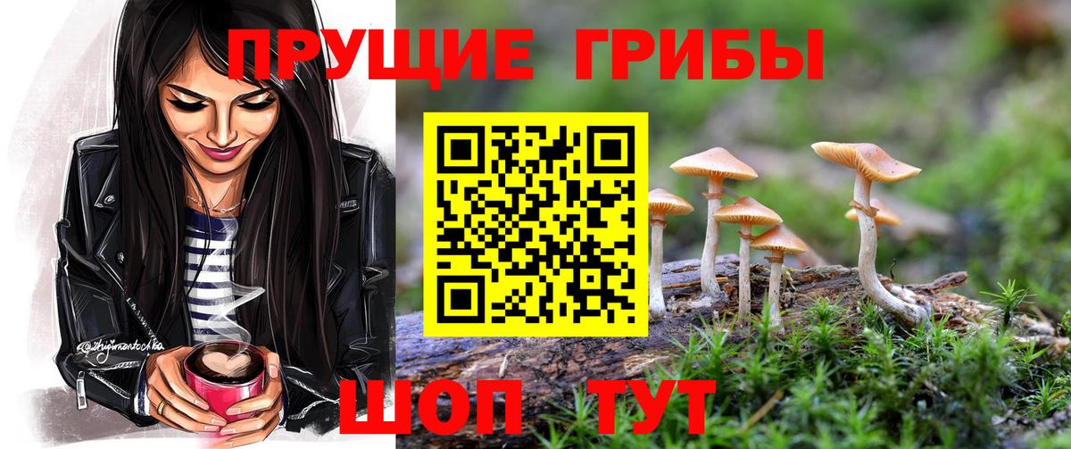 Псилоцибиновые грибы GOLDEN TEACHER  Нижнекамск 