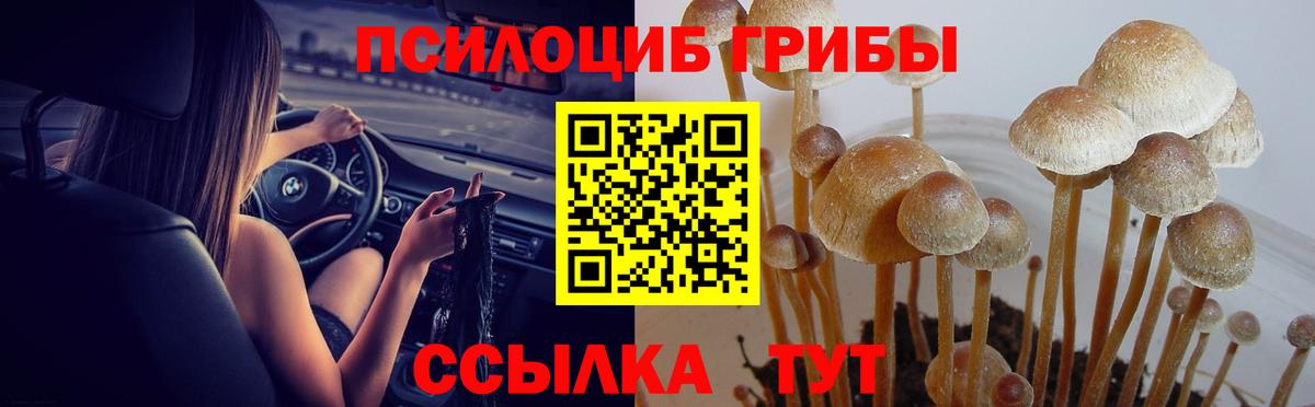 Псилоцибиновые грибы прущие грибы Нижнекамск